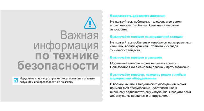 Инструкция Samsung SGH-P300